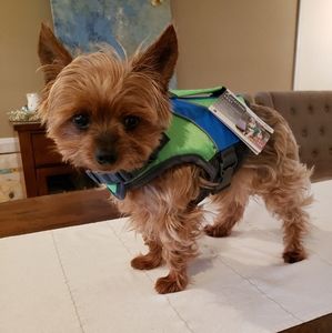 Host Pick 🤩🐕🥰 Dog Life Jacket XS